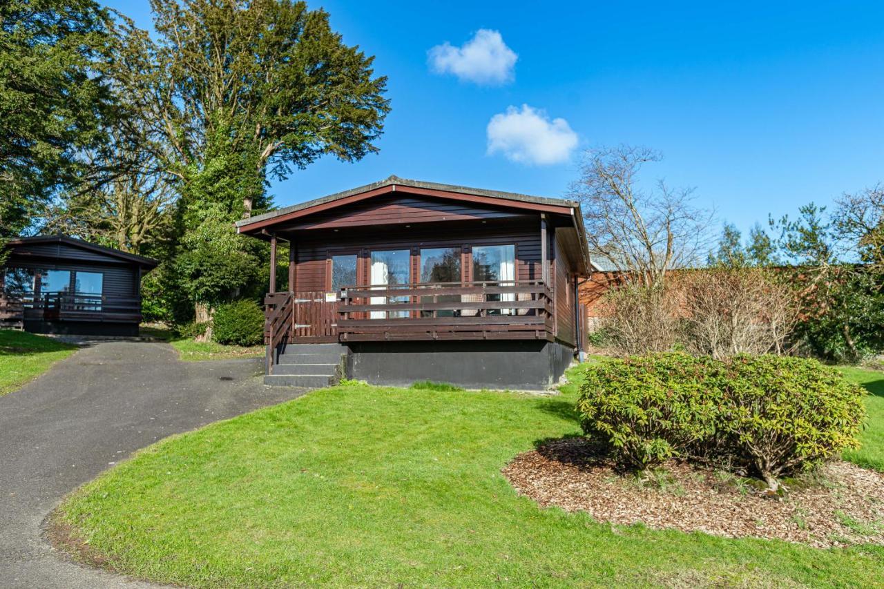 Bluebell Lodge 24 With Hot Tub Newton Stewart Εξωτερικό φωτογραφία